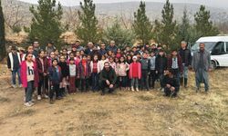 Koçtepe köyü sakinleri 15 bin ağaç ekti