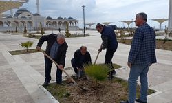 Kıymaz ‘Sahabeye hizmet şereftir’