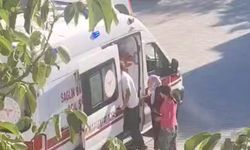 Besni'de yaşlı adama köpekler saldırdı