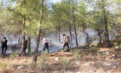 Besni ve Tut'ta Ormanlarımızı yakanlarda inşallah yanarlar