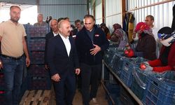 Vali Osman Varol, soğuk hava deposunu inceledi
