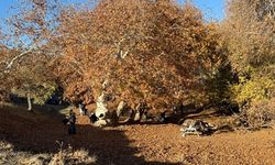 Zeynel Abidin Türbesi ziyaretçi akınına uğradı