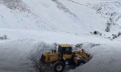 İl Özel İdaresi’nden karla mücadele