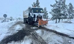Şanlıurfa Büyükşehir belediyesi yolları açık tuttu
