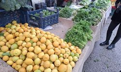 Yeşil Soğan tarihinde, rekor Fiat: 130tl