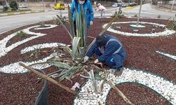 Adıyaman Belediyesi, park ve bahçelerde bahar çalışmalarını sürdürüyor