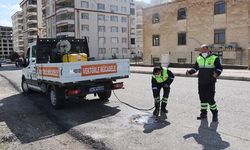 ŞANLIURFA BÜYÜKŞEHİR’DEN SİVRİSİNEK VE HAŞERELERE KARŞI İLAÇLAMA