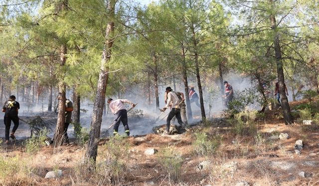 Besni ve Tut'ta Ormanlarımızı yakanlarda inşallah yanarlar