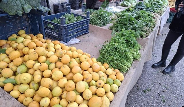 Yeşil Soğan tarihinde, rekor Fiat: 130tl