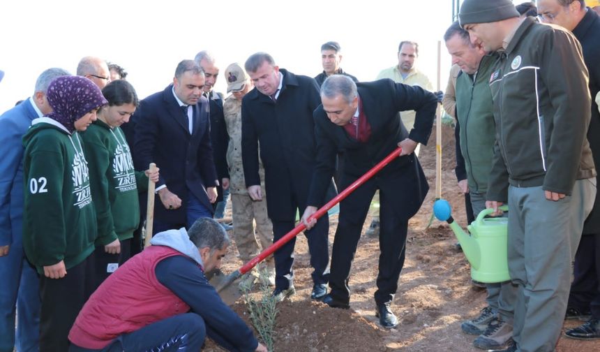 15 Temmuz şehitleri anısına 251 fidan