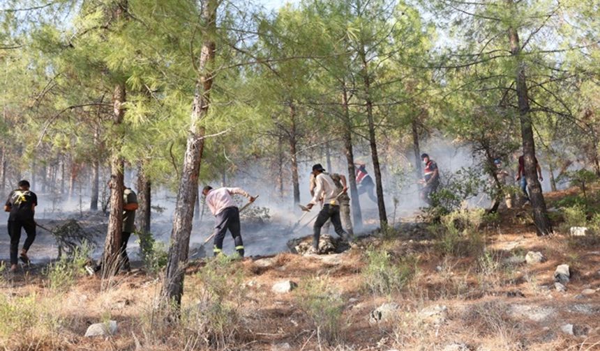 Besni ve Tut'ta Ormanlarımızı yakanlarda inşallah yanarlar