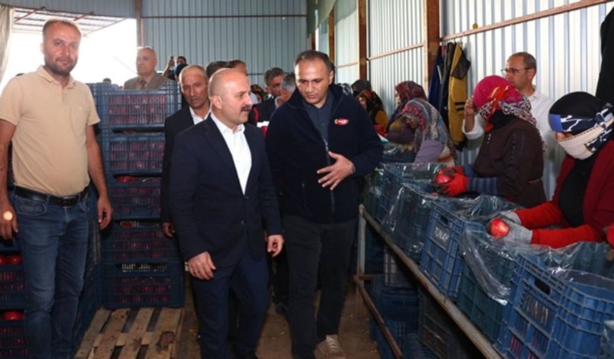 Vali Osman Varol, soğuk hava deposunu inceledi