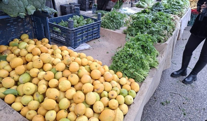 Yeşil Soğan tarihinde, rekor Fiat: 130tl