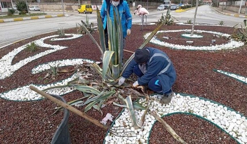 Adıyaman Belediyesi, park ve bahçelerde bahar çalışmalarını sürdürüyor
