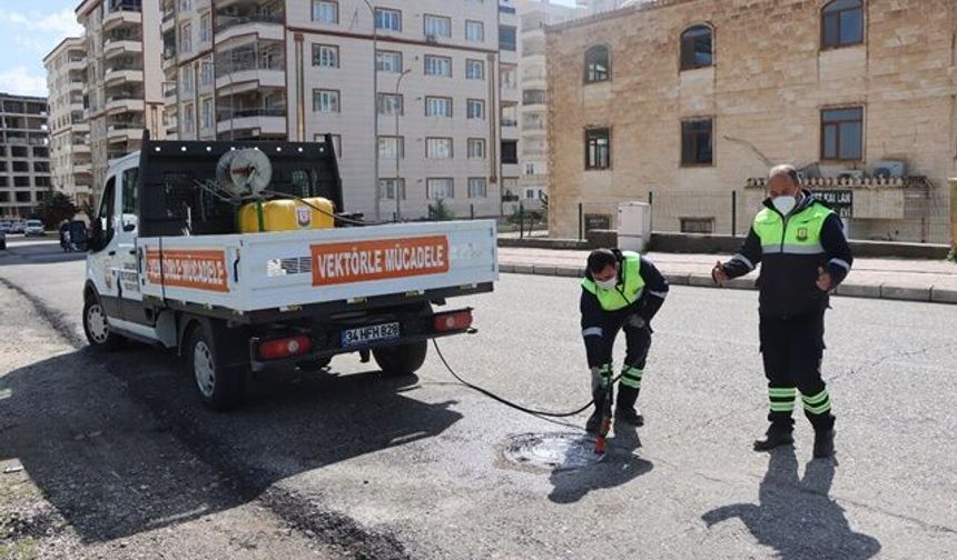 ŞANLIURFA BÜYÜKŞEHİR’DEN SİVRİSİNEK VE HAŞERELERE KARŞI İLAÇLAMA